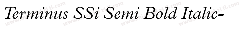 Terminus SSi Semi Bold Italic字体转换